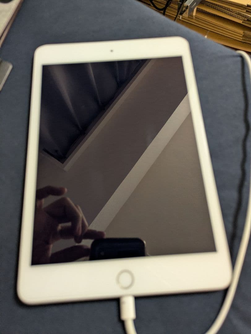 iPad本体 ipadmini5 64GB