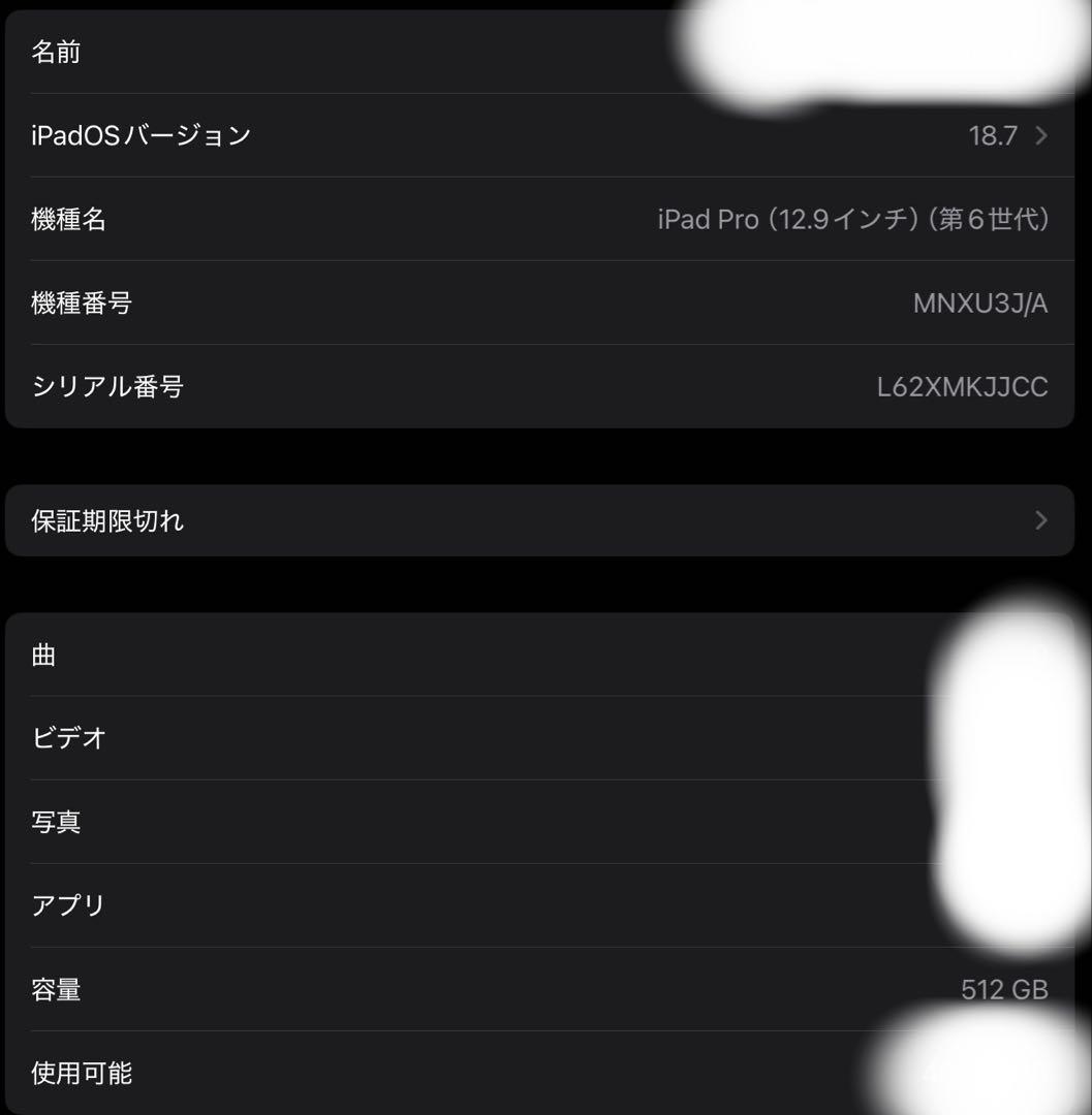 iPadpro 13インチ 第6世代 512gb WiFi