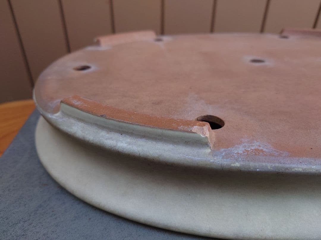 盆栽　鉢　山房　幅46.2cm