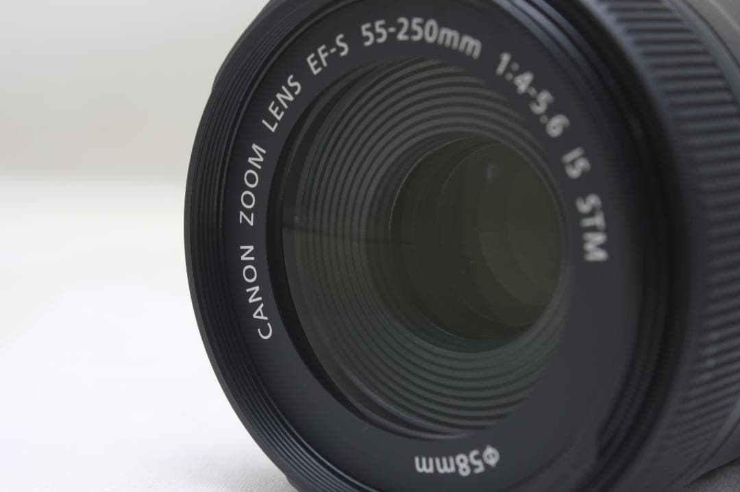 キヤノン EF-S 55-250mm F4-5.6 IS STM 6873