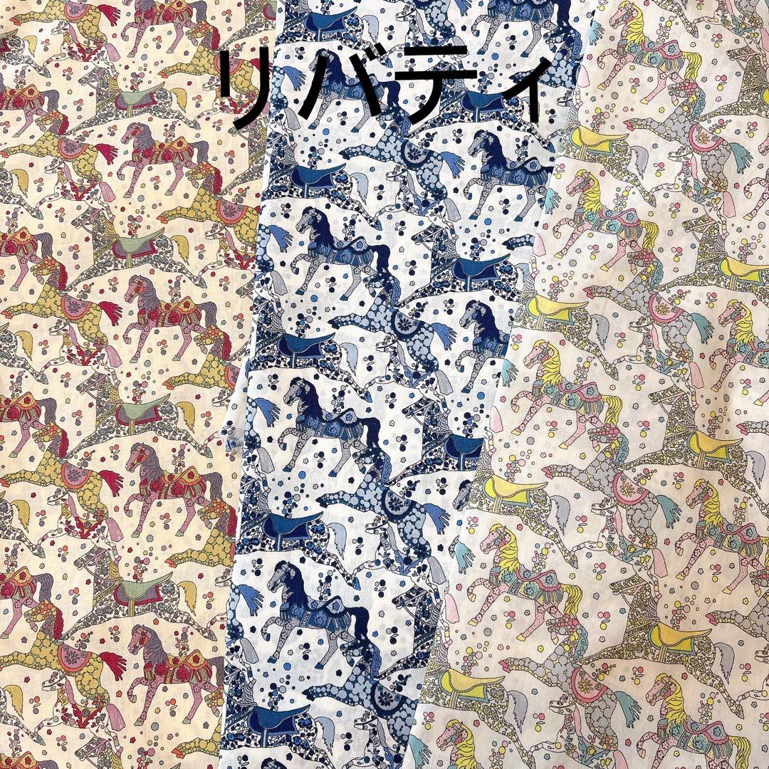 とんページピコタンpmサイズバッグインバッグ