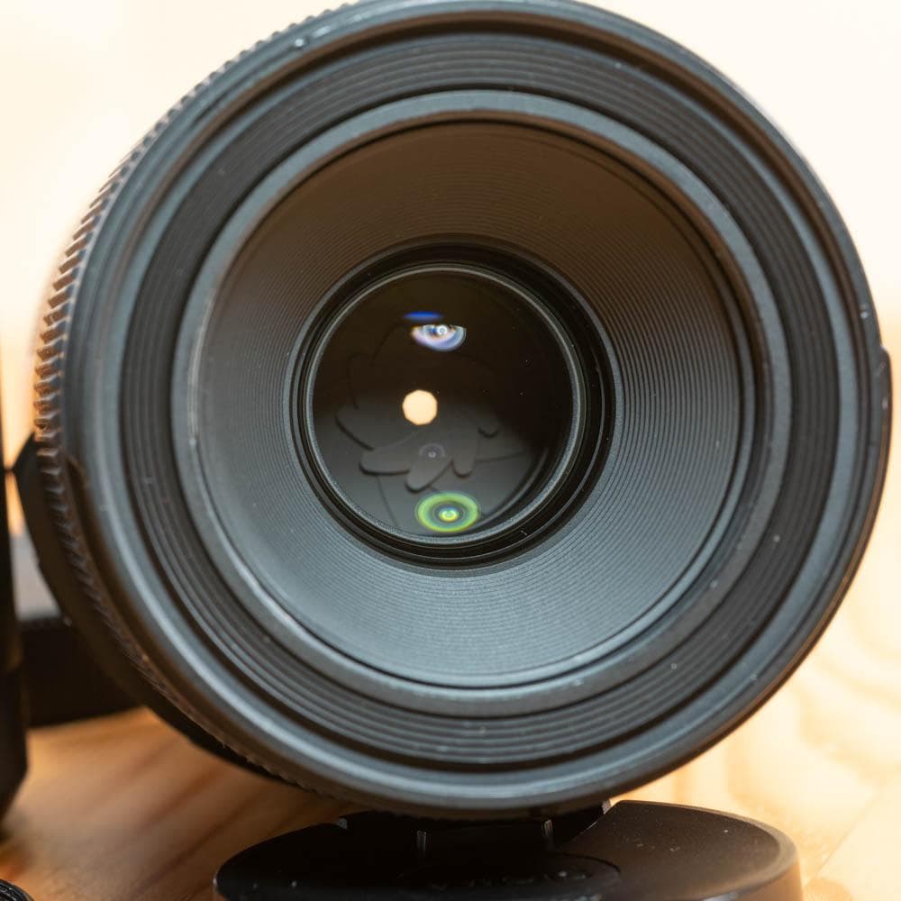 SIGMA 70mm F2.8 DG MACRO Lマウント