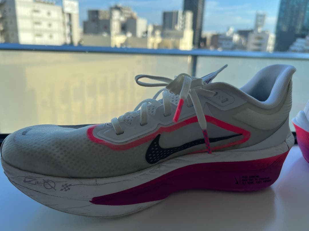 【27.5cm】ナイキ NIKE ズームフライ6