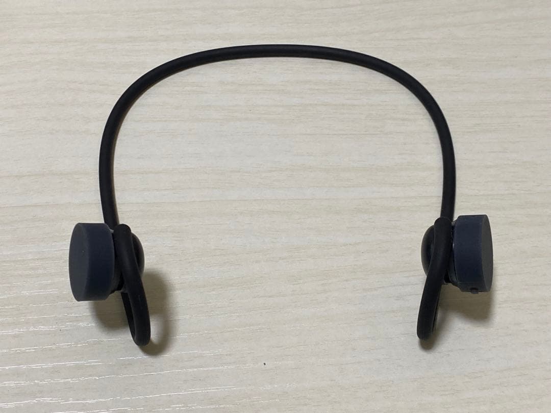 イヤホン NTT sonority nwm GO