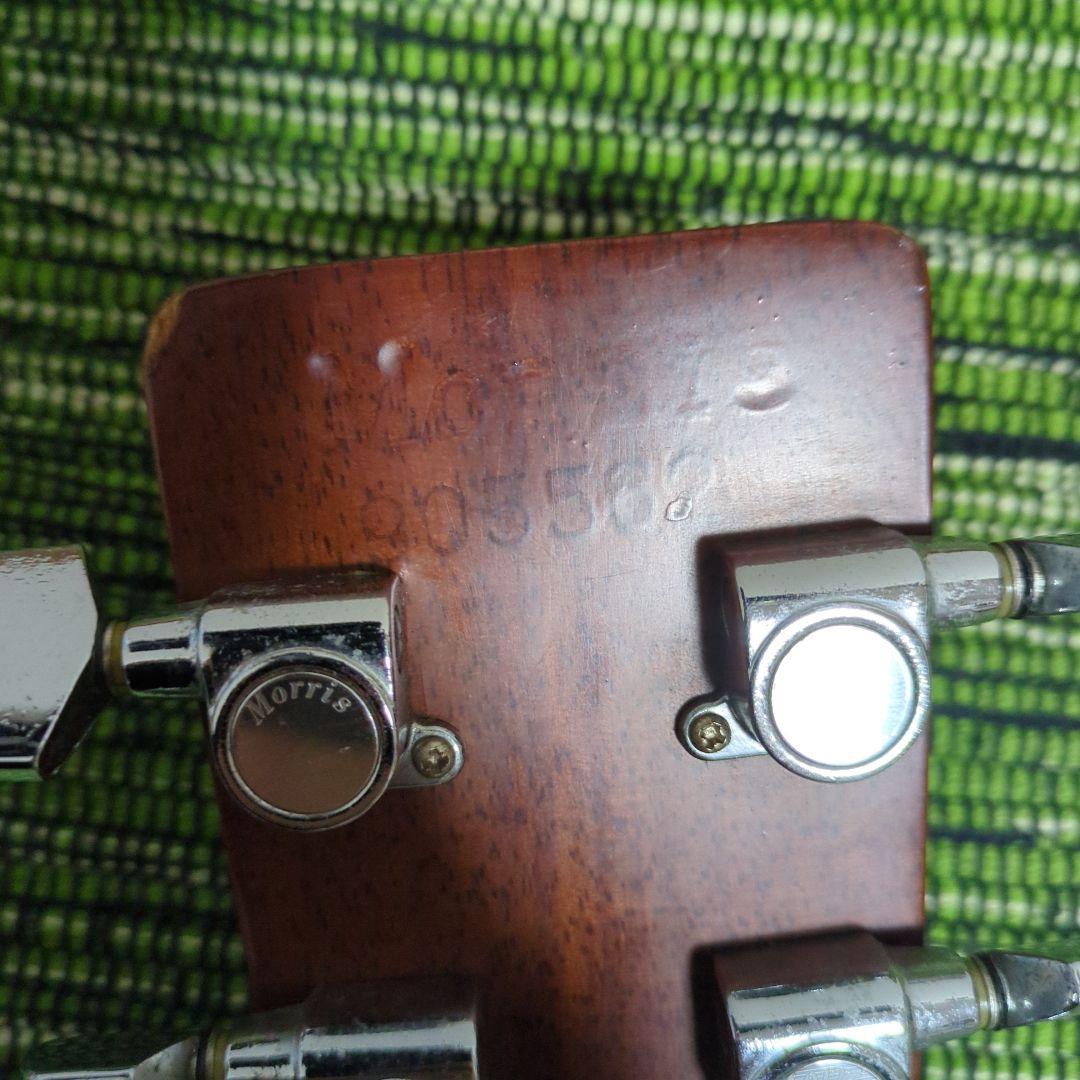 ギター TF MORRIS W50