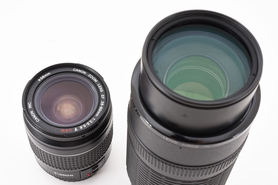 動作/高画質Canon EOS 5D MarkIII標準&望遠ダブルレンズセット