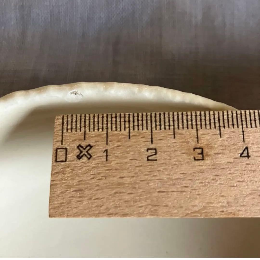 小石原焼　波佐見焼　陶器８点セット　和食器