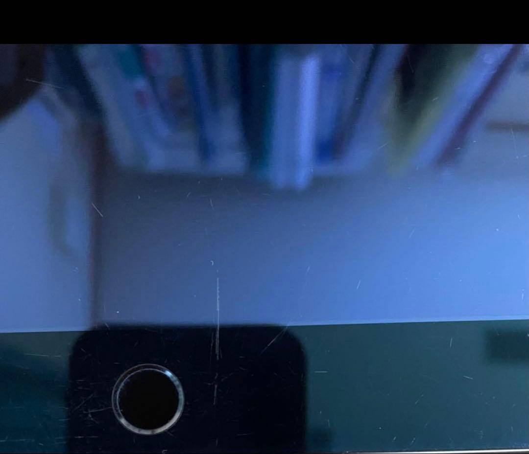 【美品】Apple iPad air2 16GB 機能不良なし　バッテリー良好