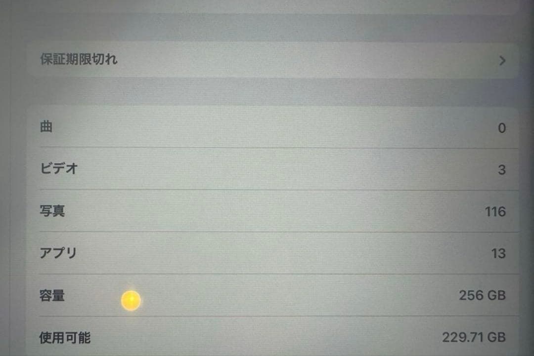 iPad Pro 第6世代　12.9インチ　256GB