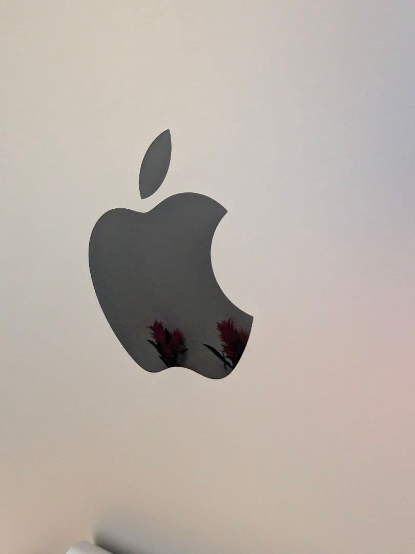 Apple Studio Display 27インチ 本体