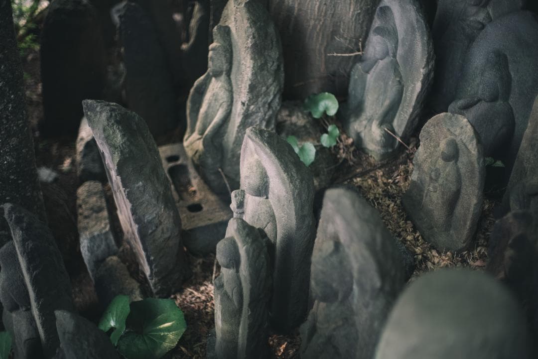 トロけるボケならF1.4！SMC takumar 50mm F1.4 M42