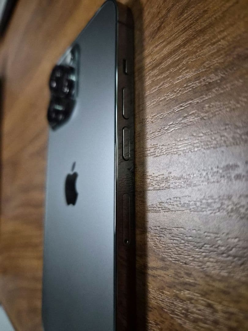 Apple iPhone 13 Pro グラファイト 256GB SIM フリー