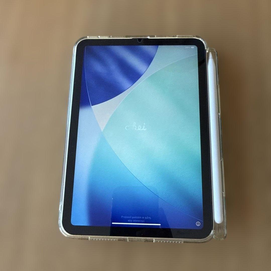 Pad mini 第6世代 256GB WiFi Apple Pencil付き