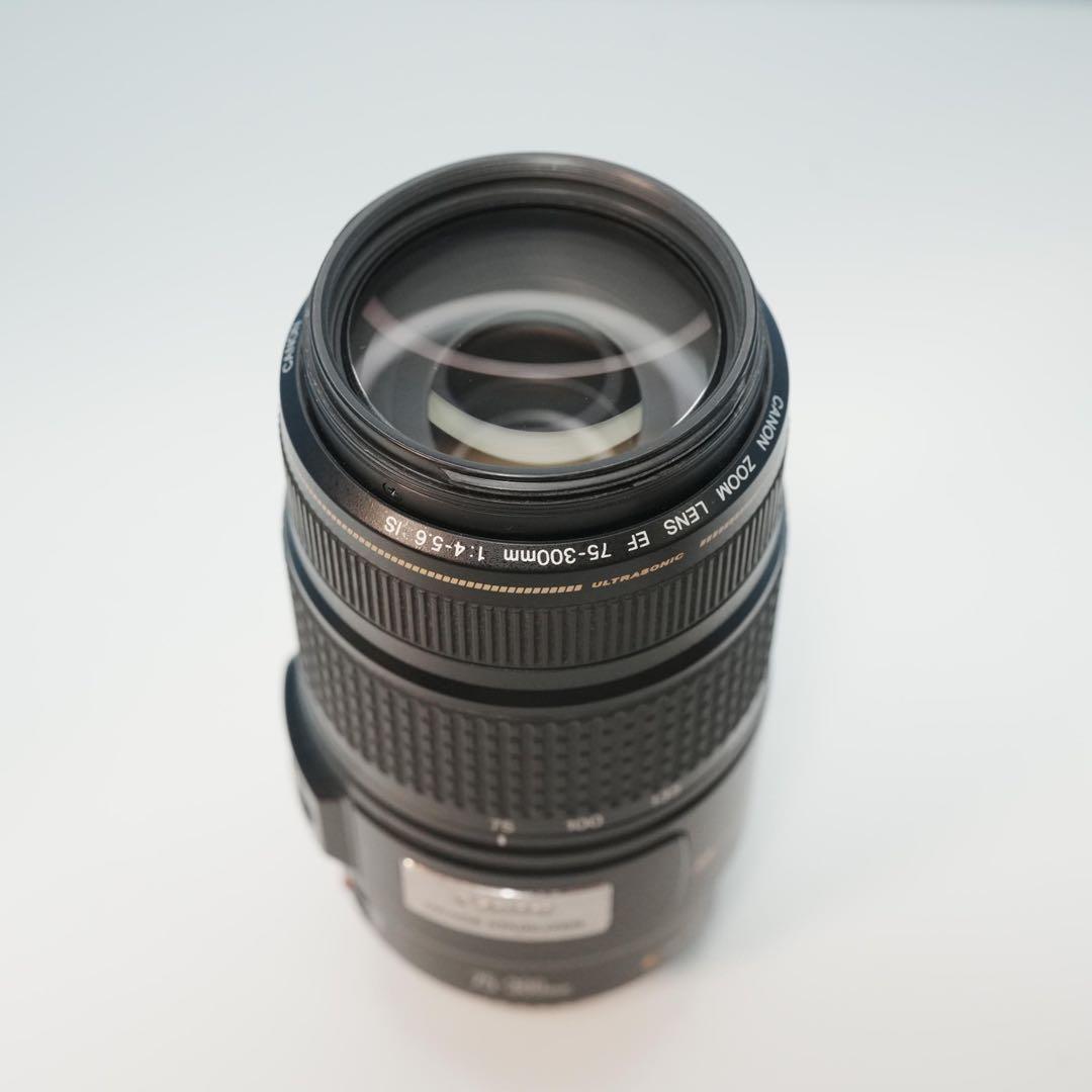 Canon純正 75-300mm 標準レンズ 美品 a4907