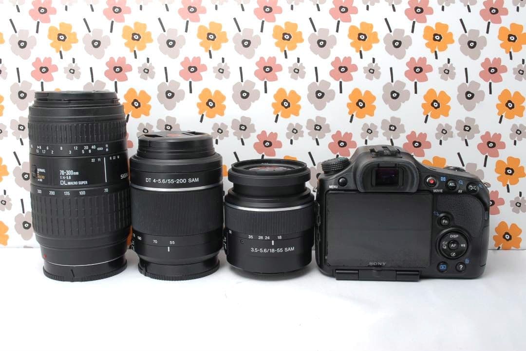 ❤即購入1000円OFF❤SONY α65❤超望遠トリプルレンズ❤超高画質❤
