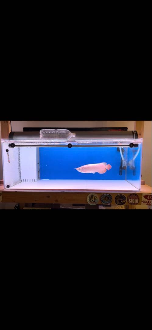 1200/600/450アクリル水槽 9点セット