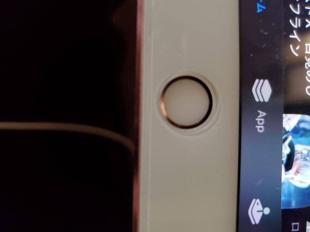 iPad本体 iPad Pro 9.7 Wi-Fi+Cellular32GB MLYJ2J/A