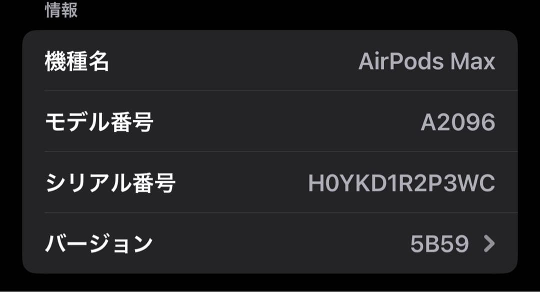 AirPods MAX スペースグレー 保護ケース付き