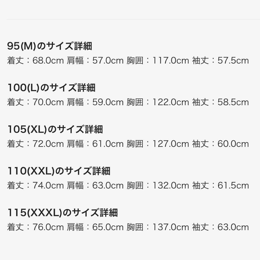 THE NORTH FACE M'S DAY TECH JACKET ナイロンL