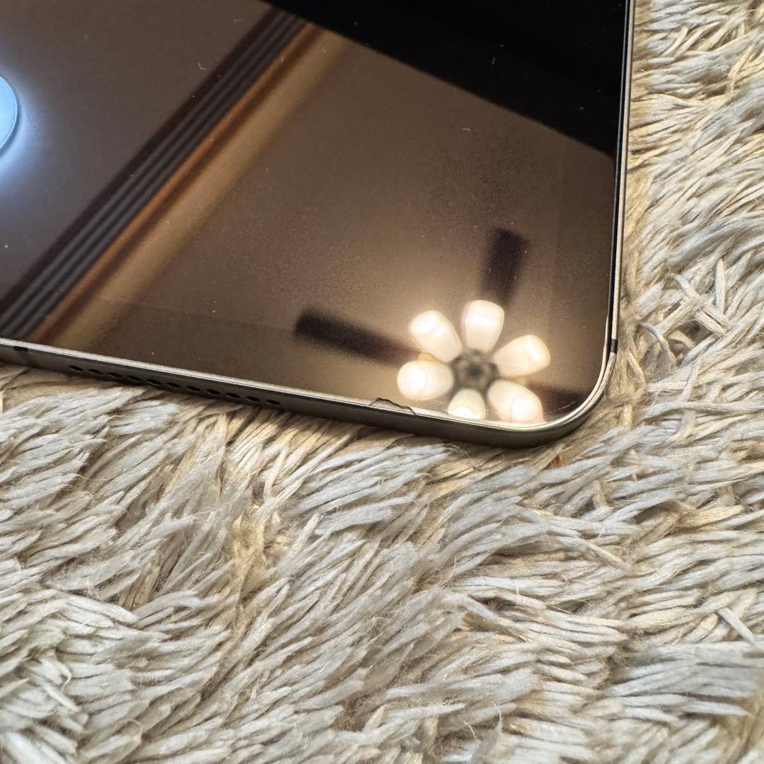 【期間限定】iPad Pro 12.9 Cellular 2TB ＋周辺機器