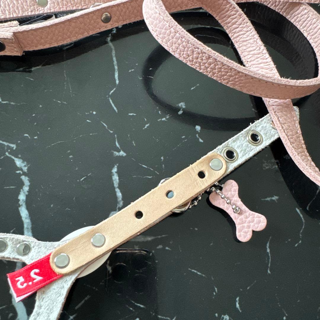 ❁ Lav ❁ バディーベルト　 ハーネスとリード ４点セット