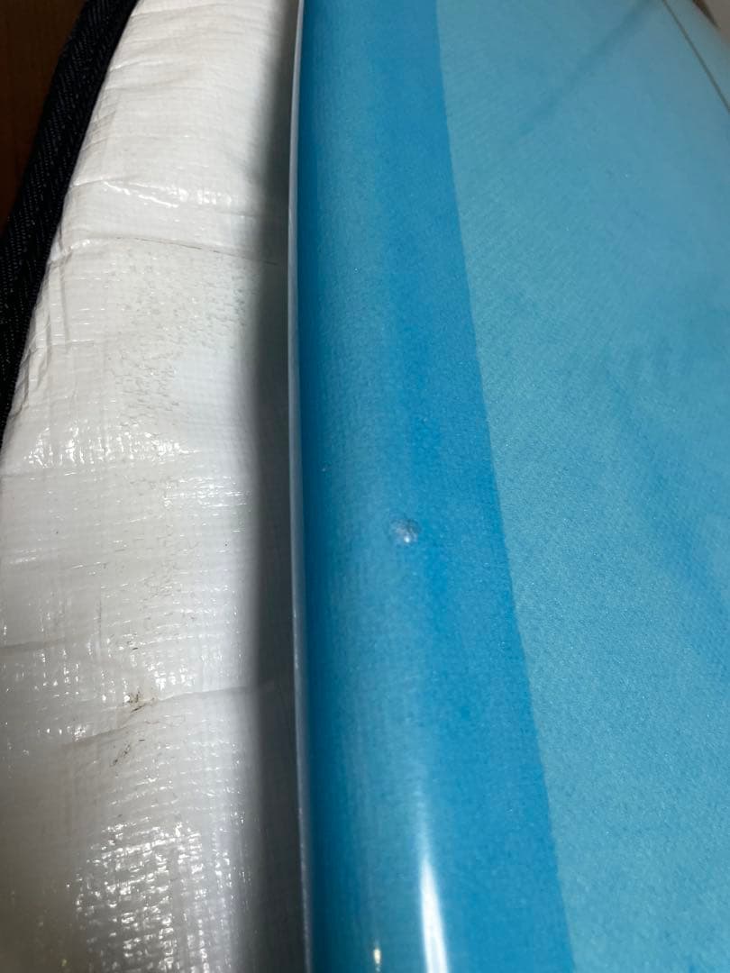 【最終値下げ】RAINBOW リッチ・パベル ツインフィッシュ