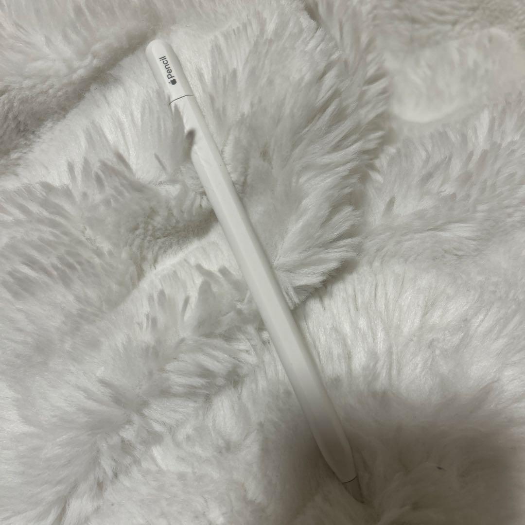 Apple Pencil USB-C ほぼ未使用 動作確認済み