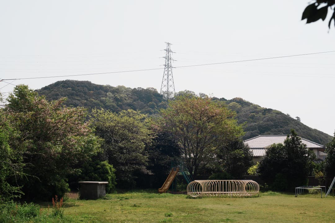 【極美品】AF◎ ニコン Ai AF Nikkor 50mm F1.4 D 15