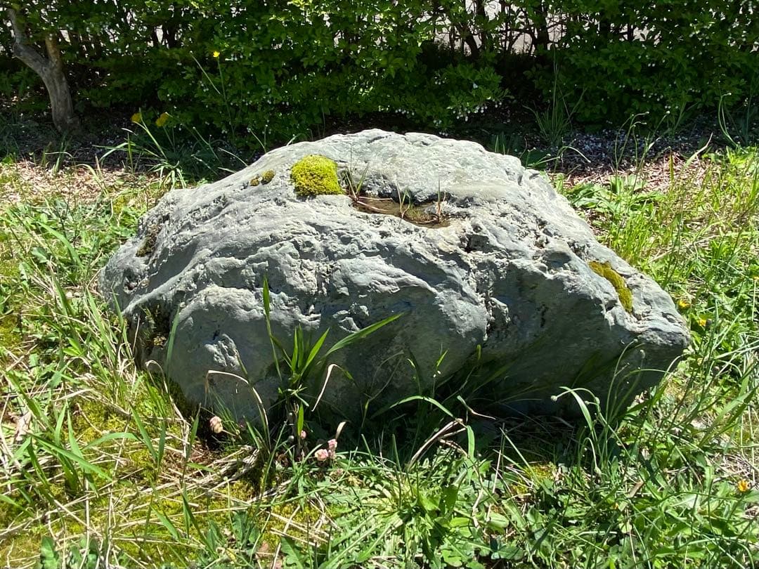 灰色 庭石 大 約140×40×50㎝ 苔付【石川県引き取り限定】まとめ割