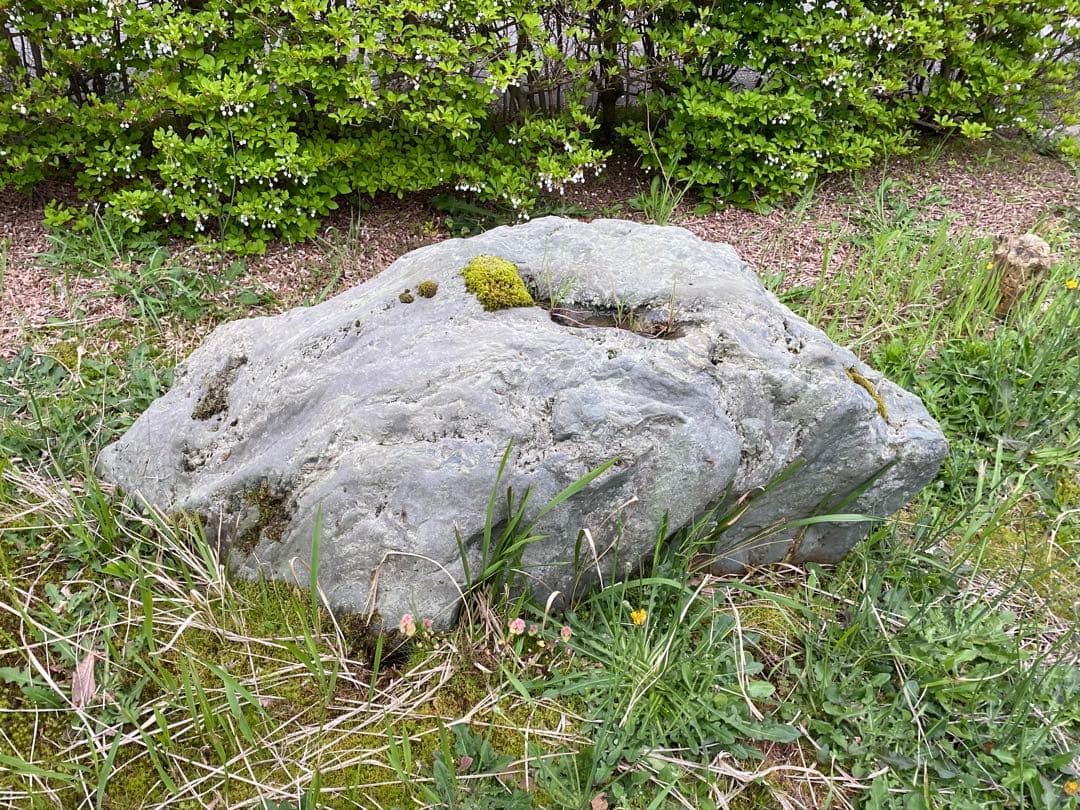 灰色 庭石 大 約140×40×50㎝ 苔付【石川県引き取り限定】まとめ割