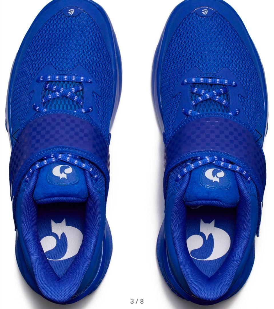 シューズ(男性用) CURRY FOX 1 26.5