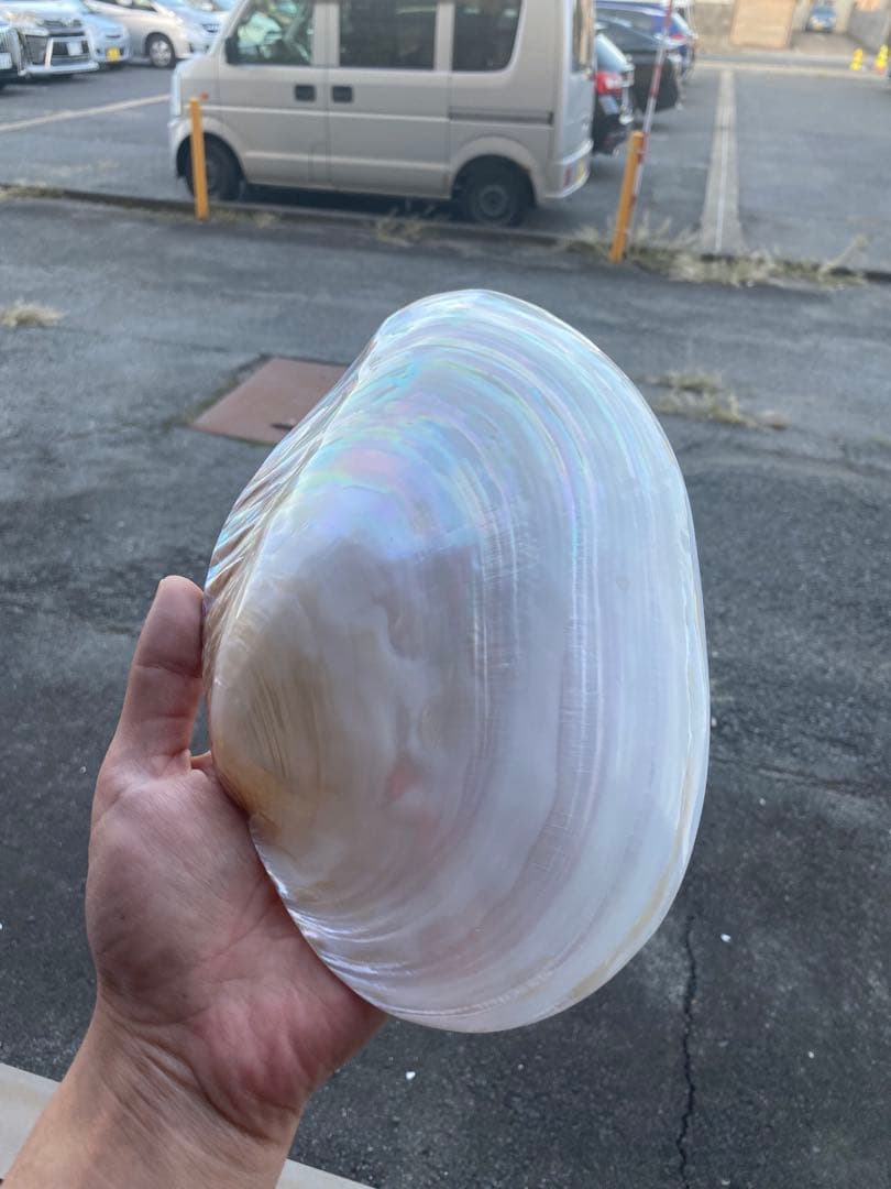 まとめ7点セット　専用ページ