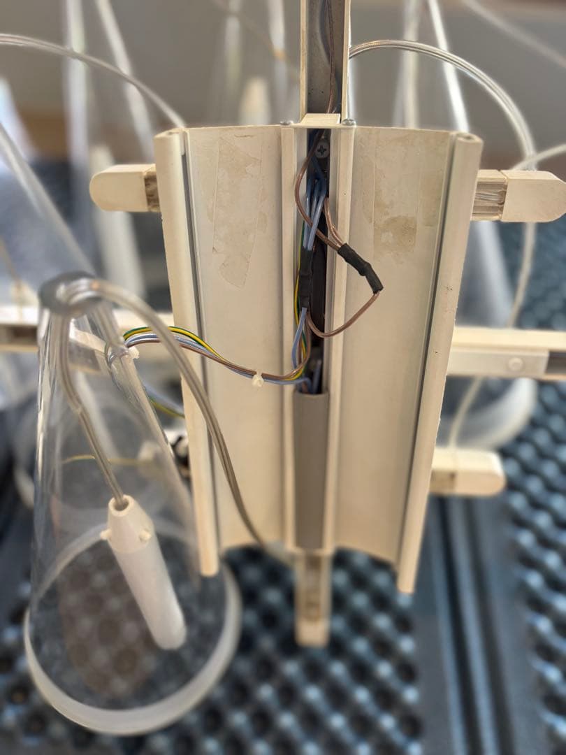 おてもと様　FLOS（フロス）「FUCSIA 8」　値下げ