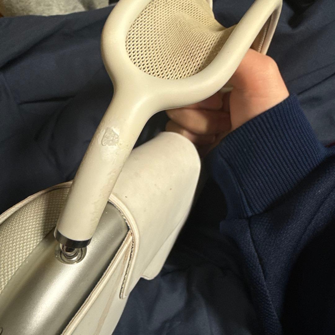 イヤホン AirPods MAX type Lightning