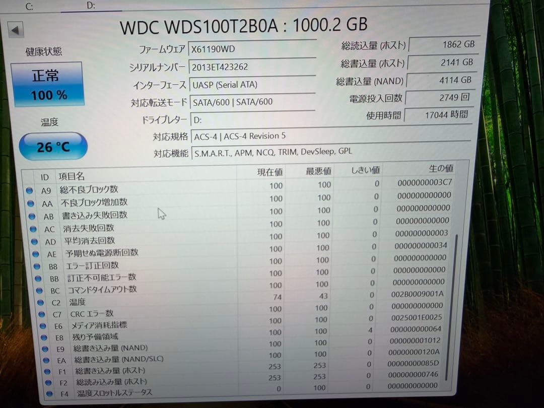 内蔵型SSD WD BLUE WDS100T2B0A 1tb