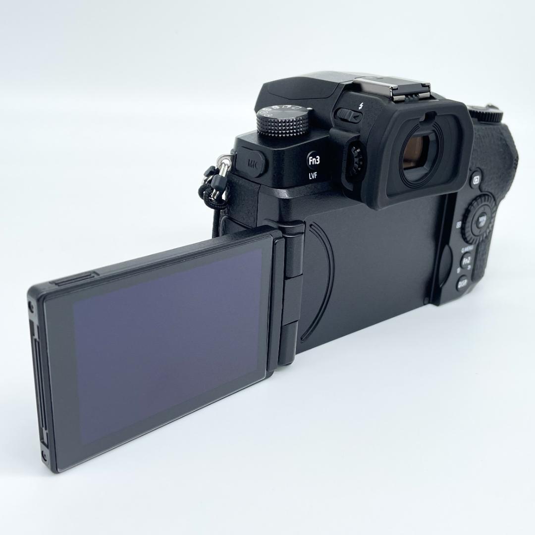 即配【美品】Panasonic LUMIX DC-G99M2 カメラ 送料無料