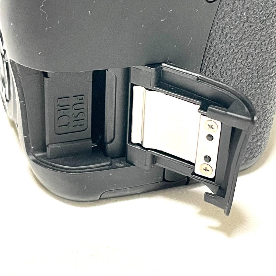 家族の思い出が輝く✨ Canon Kiss X5 超望遠 Wレンズセット