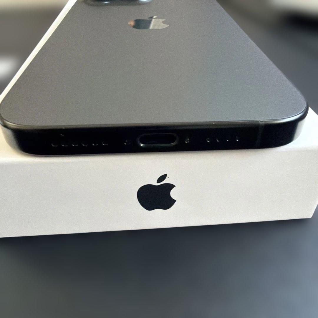 iPhone16 Pro MAX（256GB）