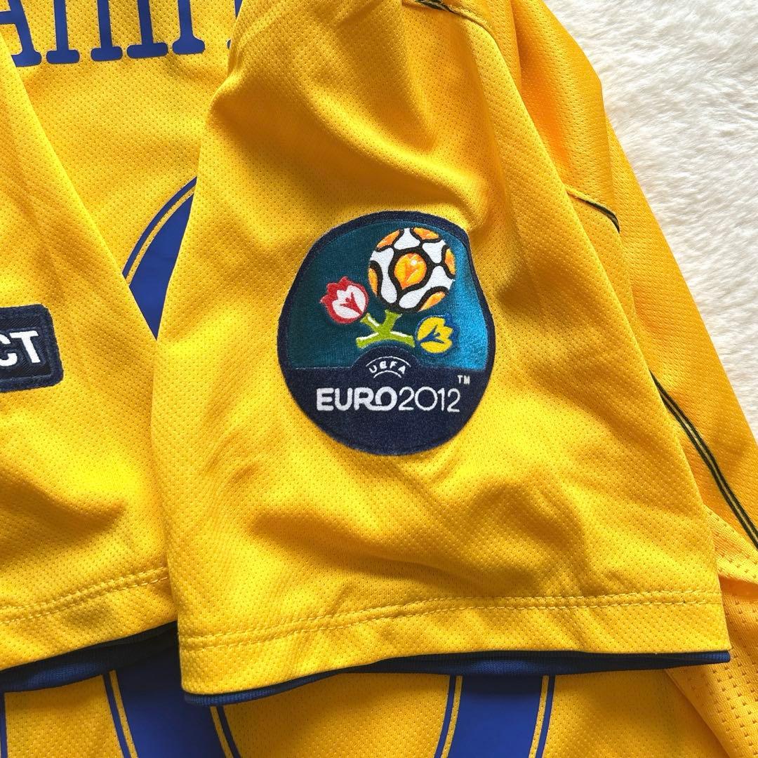 【こう】EURO2012 スウェーデン代表 ♯10 イブラヒモヴィッチ　M