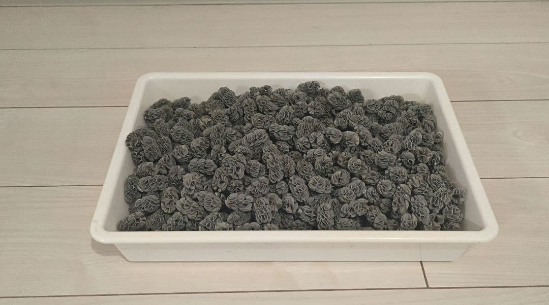 EHEIM 水槽用フィルター 2215