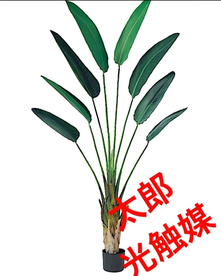 光触媒　人工観葉植物　ウォールグリーン　フェイクグリーン　トラベルパーム@gp