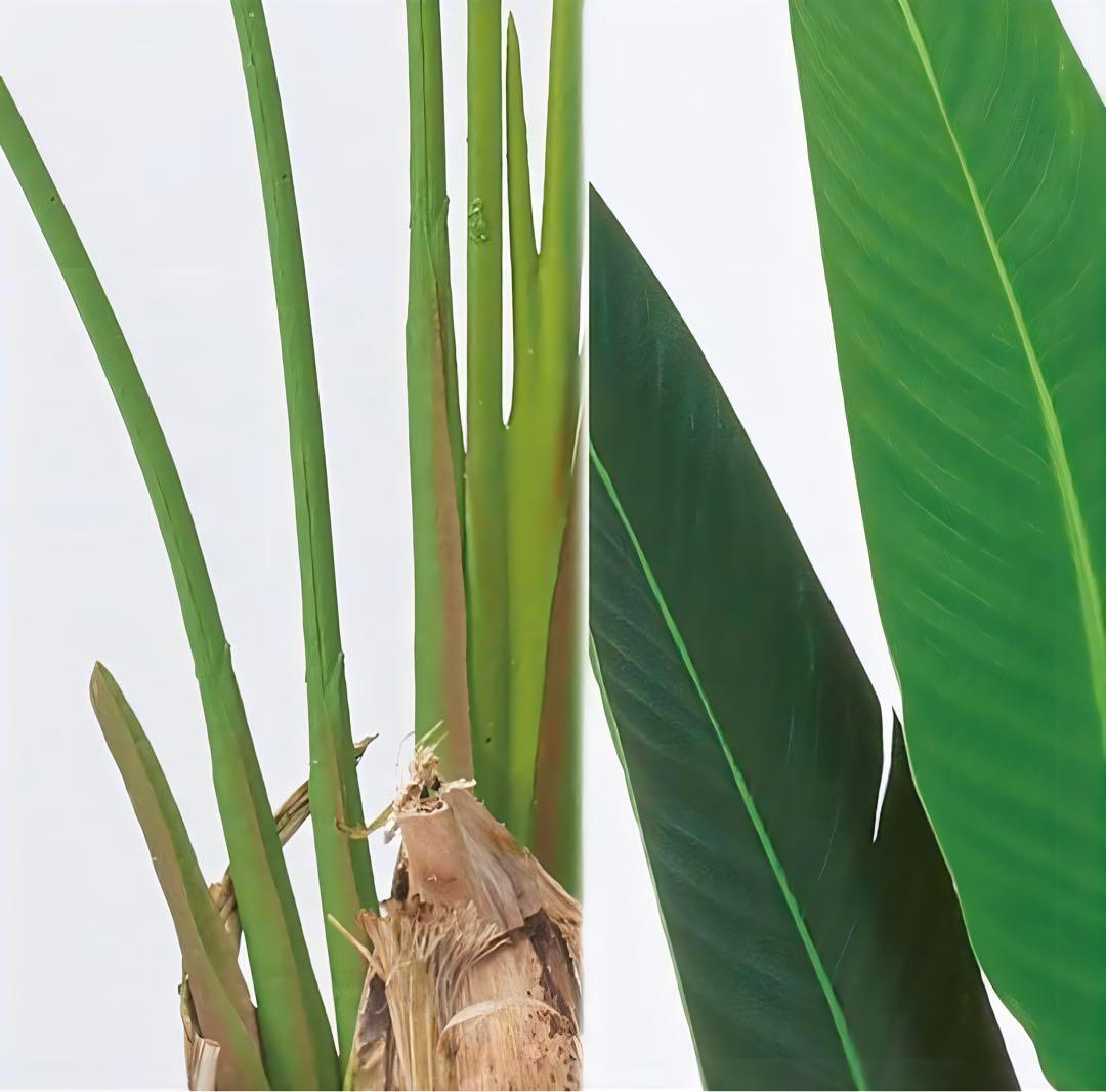 光触媒　人工観葉植物　ウォールグリーン　フェイクグリーン　トラベルパーム@gp