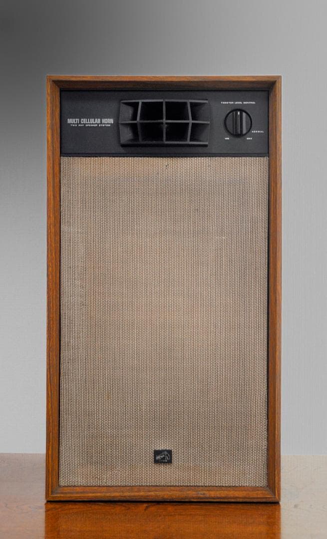 ★洒落感あって人気の2ウエイセクトラルホーンのVICTOR BLA-G620T