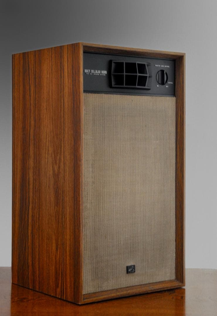 ★洒落感あって人気の2ウエイセクトラルホーンのVICTOR BLA-G620T