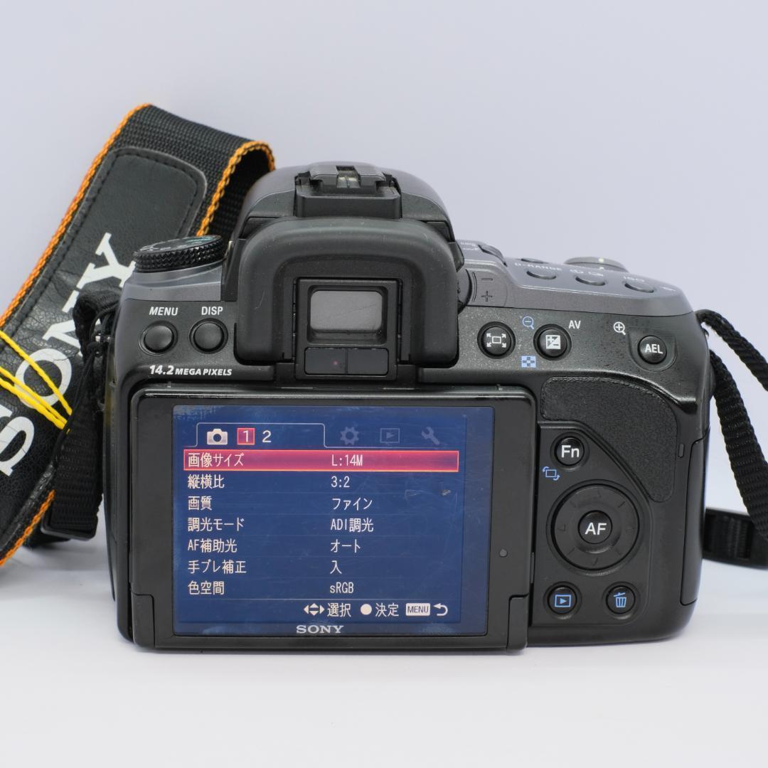 ❤️初心者オススメ　SONY α550 ダブルズームレンズキット　掃除セット付き
