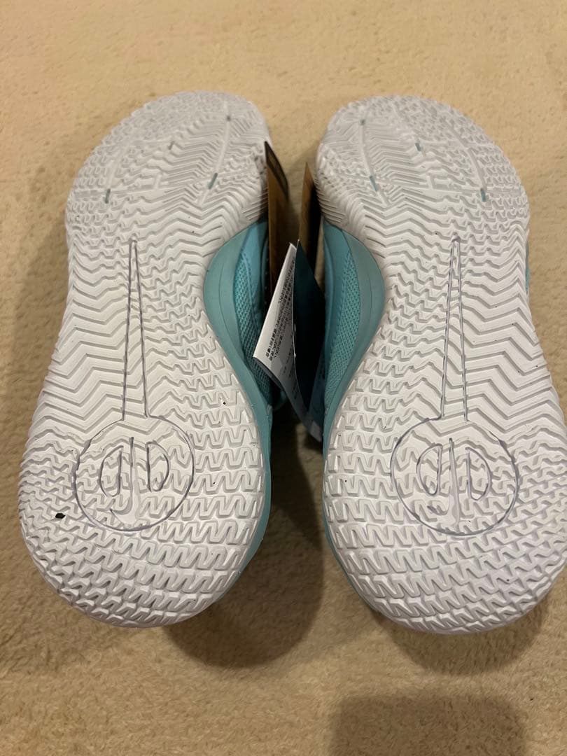 レジェンド 10 アカデミー IC