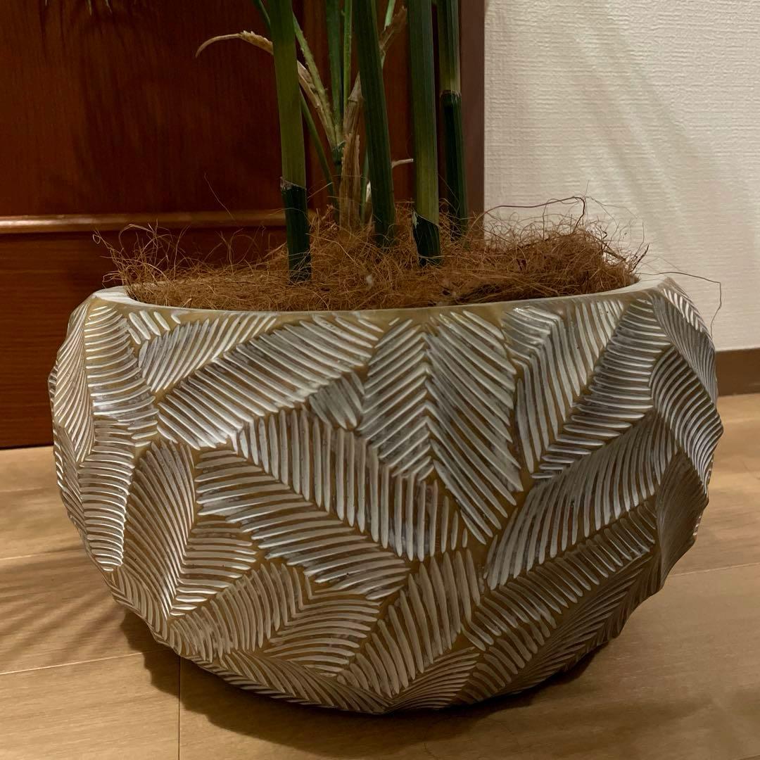 【港区にて直接お渡しも可能】　エミリオ　ロバ　パーム　グリーン