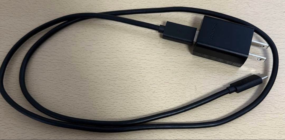 [おまけ付き] SONY α7C ミラーレスカメラ 本体のみ