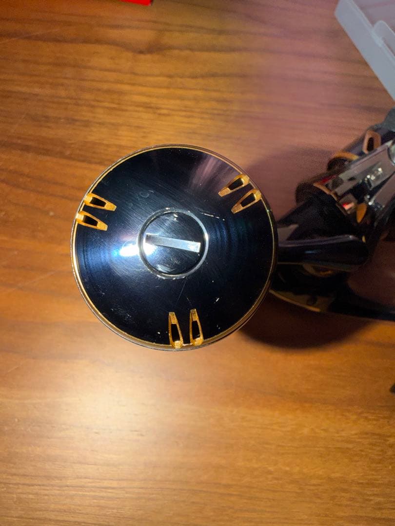 リール 20STELLA SW 6000HG