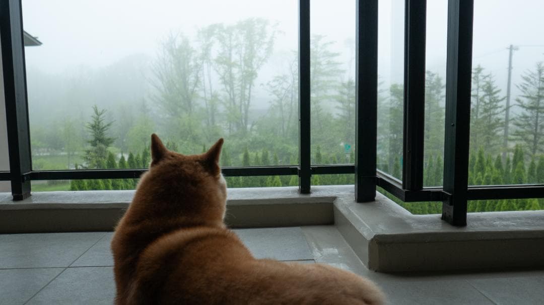 デジタルカメラ LUMIX DMC-LX100